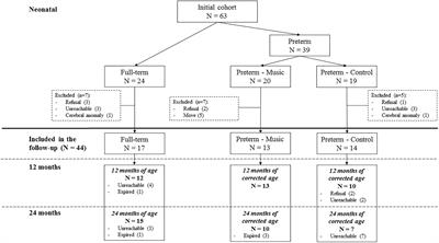 Effects of an Early Postnatal Music Intervention on Cognitive and Emotional Development in Preterm Children at 12 and 24 Months: Preliminary Findings